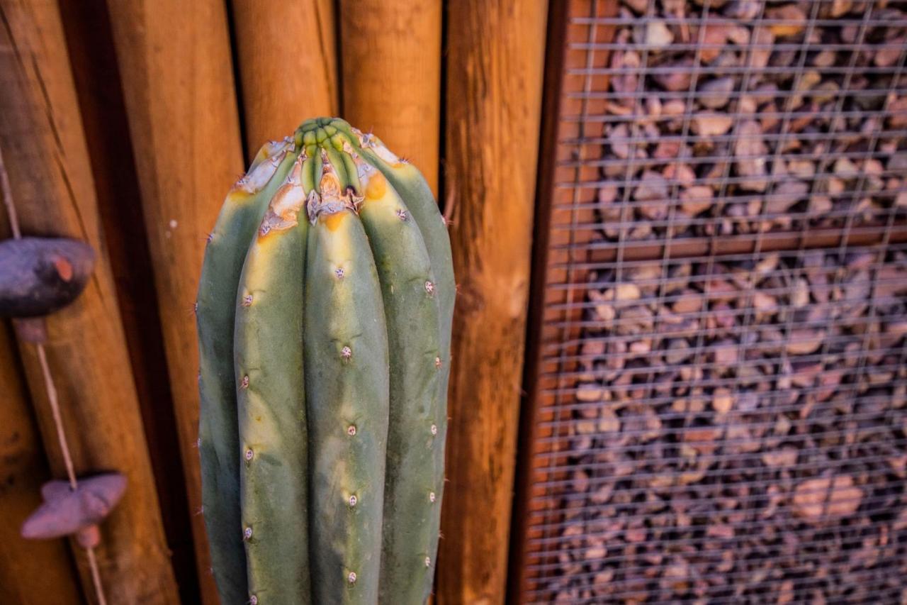 Hotel Casa Algarrobo San Pedro de Atacama Exterior foto